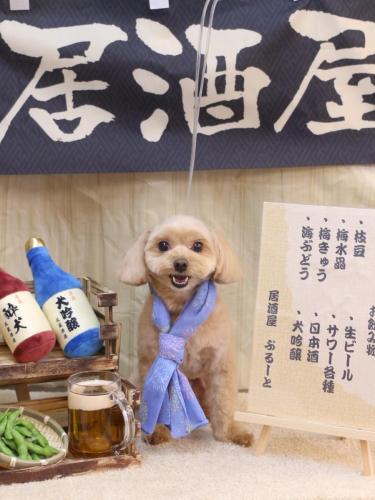 20240613ショコラくん